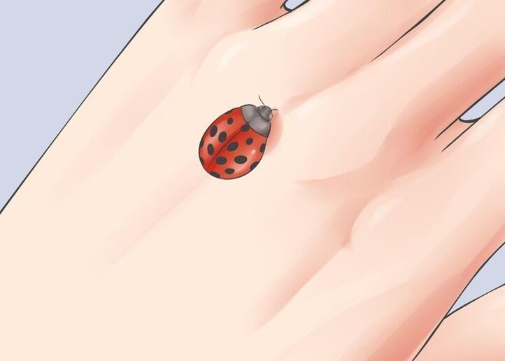 ladybug sebagai jimat nasib baik